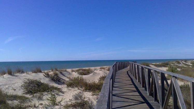 11234966_10206026392791170_6366832096887088632_n