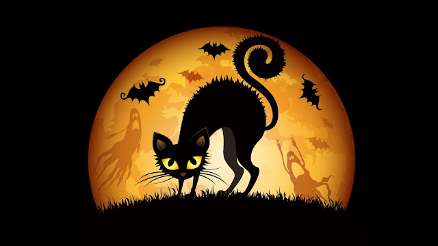 gato-negro-halloween