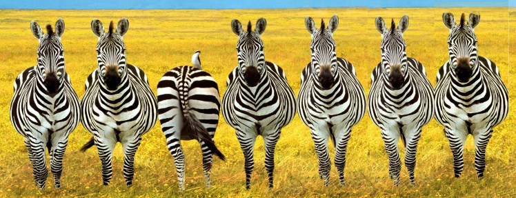 dare-to-be-different-pictures1