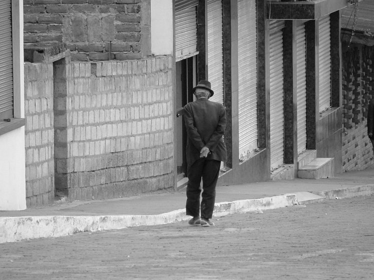 taking-a-stroll-2-1473407-1600x1200